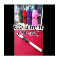 ราคา เช่ากลองทอมบ้าเพื่อเชียร์กีฬา หรือกิจกรรมต่างๆ เช่าต่อวัน ราคาพิเศษ (3147979)