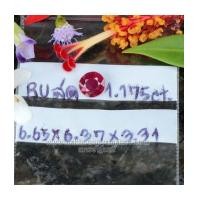 ราคา ทับทิม พม่า ดิบไม่เผา สีแดง สีสวย รูปไข่เจียรไนเหลี่ยม น้ำหนัก 1.175 กะรัต พร้อมใบเซอร์ (6619429)