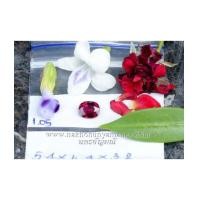 ราคา ทับทิม อาฟริกา ดิบไม่เผา สีแดงเข้ม สีสวย รูปไข่เจียรไนเหลี่ยม น้ำหนัก 1.05 กะรัต พร้อมใบเซอร์ (6619403)