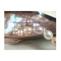 ราคา สร้อยข้อมือไข่มุกแท้อันดามัน OTOP สตูล 9-10 มิล ทรงบาร็อก สีมัลติคัลเลอร์ (4374120)