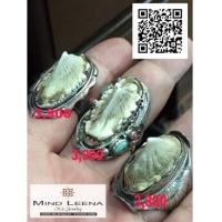 ราคา แหวนหางกระเบนท้องน้ำหรือหัวกระเบนทองน้ำหรือโรนิน ทางร้านมีใบอนุญาตขายหัวกระเบนหรือโรนิน (7301154)