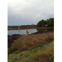 ราคา จ.นครนายก อ.เมือง ต.ดงละคร //นส3.ก 24-0-0ไร่ (6441448)