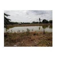 ราคา จ.นครนายก อ. เมือง ต.ศรีจุฬา // ที่นาโฉนด 10-0-0ไร่ (6201431)