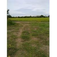 ราคา จ.นครปฐม อ.บางเลน ต.ไผ่หูช้าง /ฉ.22-0-0ไร่ (6139355)