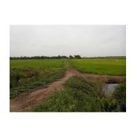 ราคา จ.นครนายก อ.เมือง ต.ศรีจุฬา / ฉ.5-0-0ไร่ ใกล้วัดดอนกลาง (6108889)