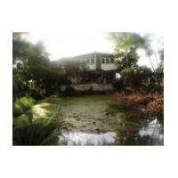 ราคา จ.อ่างทอง อ.สามโก้ ต.สามโก้ // ฉ.5-0-0ไร่ สามโก้ (6508309)