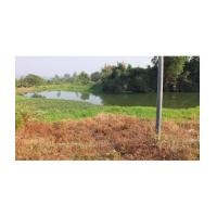 ราคา จ.นครนายก อ.เมือง ต.สาริกา ฉ.10-0-0ไร่ ติดแม่น้ำ (5186192)