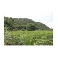 ราคา จ.นครราชสีมา อ.ปากช่อง ต.ขนงพระ ฉ.12-0-63ไร่ ที่ดินติดเขาตลอดแนวสวยงามมาก แถม ภบท.5ให้อีก 3ไร่ (5018385)