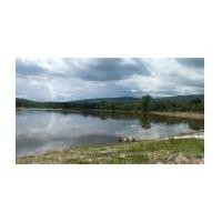 ราคา จ.ปราจีนบุรี ฉ.10-0-52ไร่ (4937183)