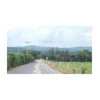 ราคา จ.ปราจีนบุรี ต.โพธิ์งาม ฉ.16-0-0ไร่ (4926861)