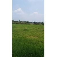 ราคา จ.นครปฐม อ.บางเลน ต.หินมูล ที่ดินโฉนด 8-1-0 ไร่ (6997307)