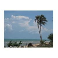 ราคา ขาย ที่ดิน ติดทะเล ชุมพร พื้นที่ 1 ไร่ ด้านหน้าติดทะเล ด้านหลังติดถนนลาดยาง เพียง 2 ล้าน (6977819)