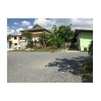 ราคา ให้เช่า ที่ดินเปล่า 1 ไร่ ติดจุดขึ้นลงทางด่วนบางพลี สุขสวัสดิ์ พิพิธภัณฑ์ช้างสามเศียร ถ. สุขุมวิท (6578470)