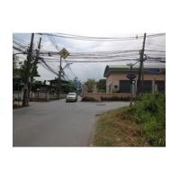 ราคา จ.กรุงเทพฯ อ.บางเขน ต.ท่าแร้ง // ฉ.0-1-24.5 ไร่ จามจุรีย์ (6508320)