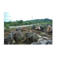 ราคา จ.นครราชสีมา อ.ปากช่อง ต.ปากช่อง //นส3.ก 1-0-18ไร่ (6441635)