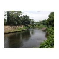 ราคา จ.นครนายก อ.เมือง ต.สาริกา //นส3.ก 2-0-0ไร่ (6441468)