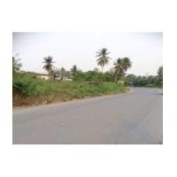 ราคา จ.สุพรรณบุรี อ.เมือง ต.สวนแตง // ฉ.3-1-81ไร่ (6399008)