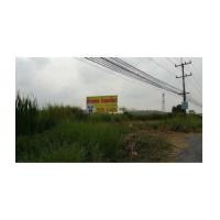 ราคา ขายที่ดิน 7ไร่ หนองแค สระบุรี ที่สวย (6360786)