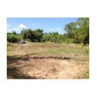 ราคา จ.นครนายก อ.เมือง ต.หินตั้ง //ที่ดินโฉนด 1-0-0ไร่ (6270323)