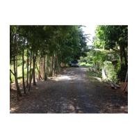 ราคา จ.นครนายก อ.เมือง ต.หินตั้ง //ที่ดินโฉนด 4-0-0ไร่ (6256983)