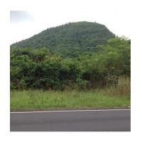 ราคา จ.ปราจีนบุรี อ.เมือง ต.เนินหอม // ที่ดินโฉนด 12-0-0ไร่ มองเห็นทิวเขาสวยงาม (6238639)