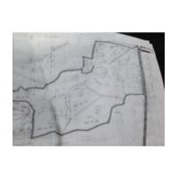 ราคา จ.ปราจีนบุรี อ.เมือง ต.เนินหอม // ที่ดินโฉนด 299-0-0ไร่ ติดถนนหลวง 3077 กว้าง 300ม. (6223456)