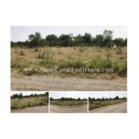 ราคา 12202 ขายที่ดินปทุมธานี ที่ดิน 1 ไร่ 78 ตร.ว. ลาดหลุมแก้ว ปทุมธานี (6217797)