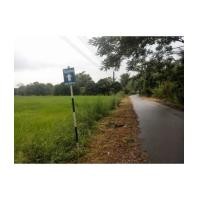 ราคา จ.นครนายก อ. เมือง ต.สาริกา // ที่ดินโฉนด 9-0-0ไร (6210589)