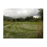 ราคา จ.นครนายก อ. เมือง ต.สาริกา // ที่ดินโฉนด 4-0-0ไร่ (6210573)