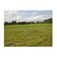 ราคา จ.นครนายก อ.เมือง ต.หินตั้ง / ที่ดินโฉนด 3-0-0ไร่ (บ้านสีเสียด) (6176222)