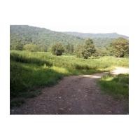 ราคา จ.นครนายก อ.เมือง ต.สาริกา // ที่ดินโฉนด 5-0-0ไร่ (บ้านดง) (6176144)