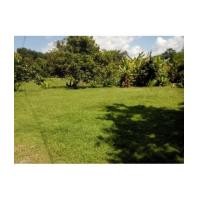 ราคา จ.นครนายก อ.เมือง ต.สาริกา // ที่ดินโฉนด 3-0-32ไร่ (6171608)