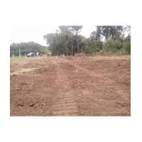 ราคา จ.นครราชสีมา อ.ปากช่อง ต.ขนงพระ // ฉ.3-1-0ไร่ (6104459)