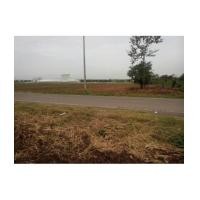 ราคา จ.สระบุรี อ.วังม่วง ต.วังม่วง / ฉ.28-0-0ไร่ ทางหลวง วังม่วง-ซับสนุ่น (6103465)