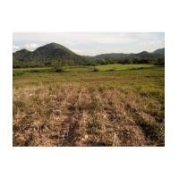 ราคา จ.สระบุรี อ.วังม่วง ต.แสลงพัน /ฉ.29-0-0ไร่ ติดเคียงตะวันรีสอร์ท (6076180)