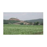 ราคา จ.สระบุรี อ.แก่งคอย ต.หินซ้อน /ฉ.45-0-0ไร่ ใกล้วัดหลวงพ่อสรวง (6072446)