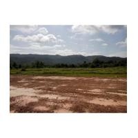 ราคา จ.นครนายก อ.เมือง ต.หินตั้ง /ฉ.0-0-100ตรว. แบ่งขายแปลงเล็ก หุบเมย (6072437)