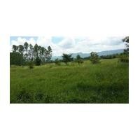 ราคา จ.นครนายก อ.เมือง ต.หินตั้ง / ฉ.2-0-86ไร่ แบ่งขายแปลงเล็ก (6061810)