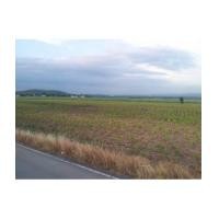 ราคา จ.สระบุรี อ.แก่งคอย ต.หินซ้อน / ฉ.25-0-0ไร่ + 11ไร่ ซอย23 (6049422)