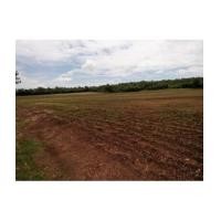 ราคา จ.สระบุรี อ.แก่งคอย ต.หินซ้อน / ฉ.16-0-0ไร่ ติดชายเขา ใกล้สุชาดารีสอร์ท (6043660)