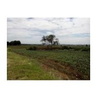 ราคา จ.สระบุรี อ.แก่งคอย ต.หินซ้อน / ฉ.25-2-0ไร่ ใกล้สุชาดารีสอร์ท (6041197)