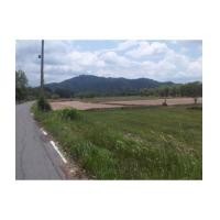 ราคา จ.นครนายก อ.ปากพลี ต.หนองแสง / ฉ.3-3-18ไร่ ทางขึ้นเขาใหญ่ (6037533)