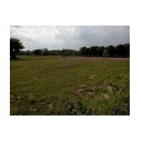 ราคา จ.นครนายก อ.เมือง ต.หินตั้ง / ฉ.3-3-86ไร่ ซอยกิ๊กก๊อก (6032130)