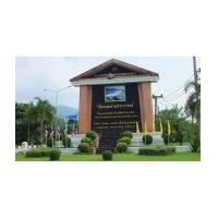 ราคา จ.นครนายก ต.สาริกา ฉ.3-1-36ไร่ วัดหางหงษ์ (5258717)