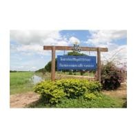 ราคา จ.นครนายก อ.เมือง ต.ดงละคร ดอนยอ ศรีจุฬา 5ไร่ - 400ไร่เศษ ทุ่งนากว้างใหญ่ (5049144)