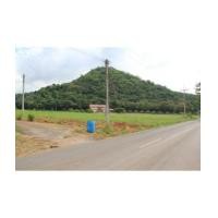 ราคา จ.นครราชสีมา อ.ปากช่อง ต.หนองน้ำแดง ฉ.10-0-0ไร่ ซอยภูหินสวย จากธนะรัตน์ 2กม.เศษ (5046197)