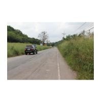 ราคา จ.นครราชสีมา ต.หนองน้ำแดง อ.ปากช่อง ฉ.3-3-0ไร่ บ้านเขาวง (5021183)