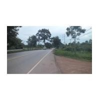 ราคา จ.ปราจีนบุรี ต.ดงขี้เหล็ก ฉ.30-2-0ไร่ (4955187)