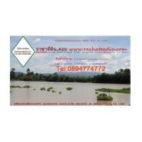 ราคา จ.ปราจีนบุรี อ.เมือง ต.เนินหอม ฉ.200-0-0ไร่ บ้านคลองยาง คลองล้อมที่ วิวเขาสวยงาม (4955180)