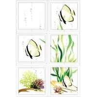 ราคา บล็อกแก้ว ปลาค้างคารวใต้ทะเล ตราช้างแก้ว (4955507)